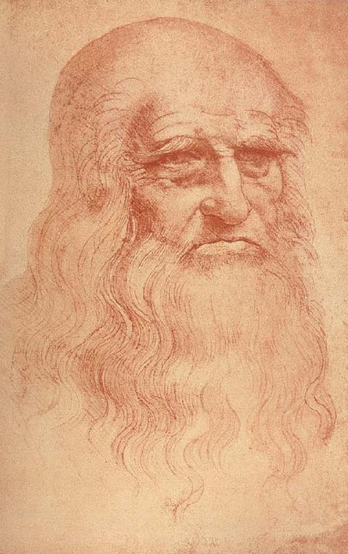 LEONARDO da Vinci Self Portrait France oil painting art